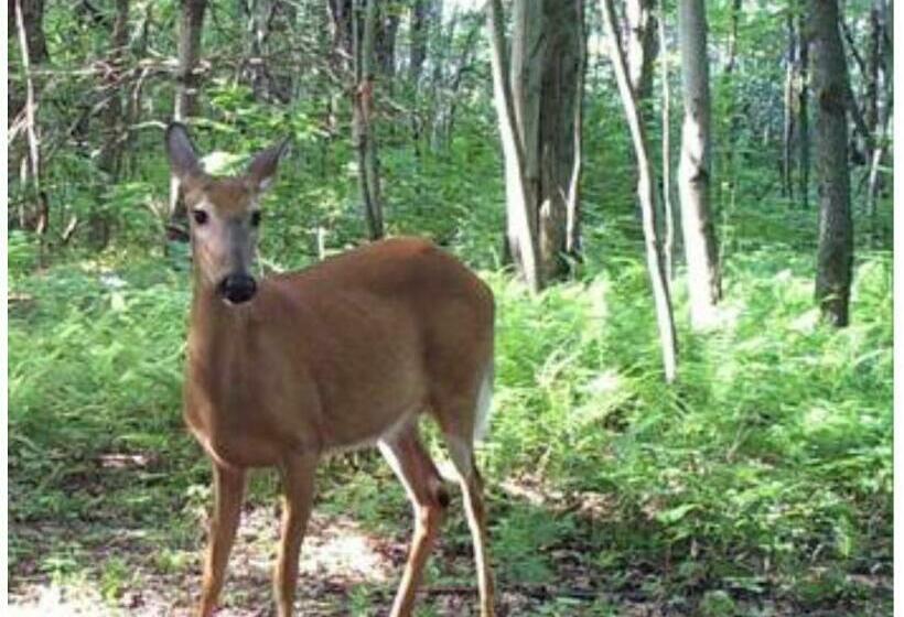 스탠다드 룸, Au Gré Du Temps   Gîte B&b