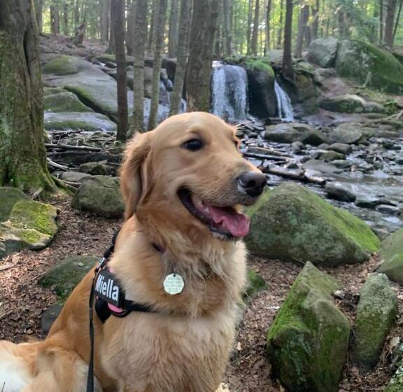 스탠다드 룸, Au Gré Du Temps   Gîte B&b