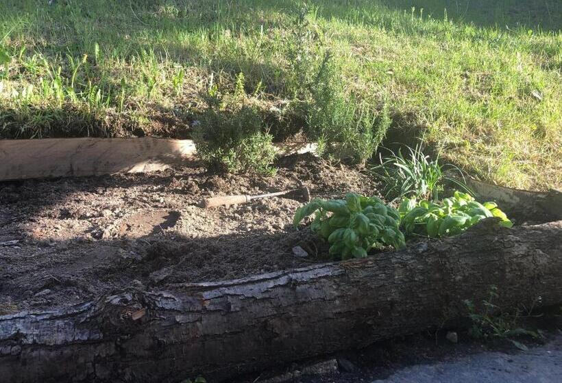 חדר דלוקס, Al Grottino