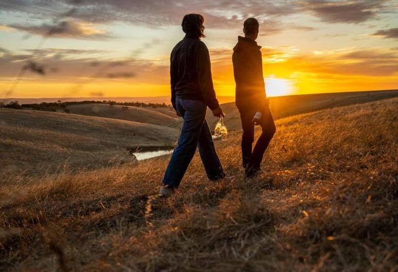 带大床的套房, Coastal Lodge