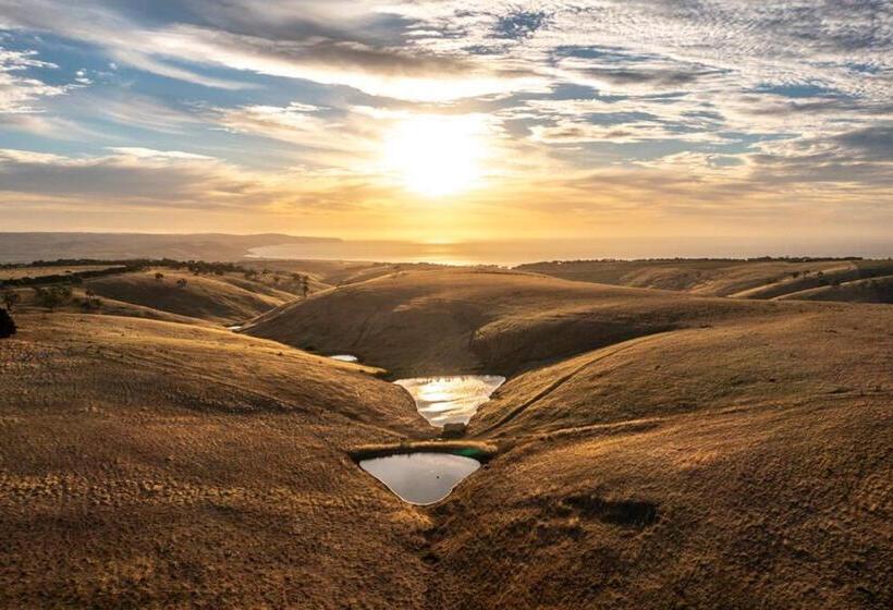 带大床的套房, Coastal Lodge