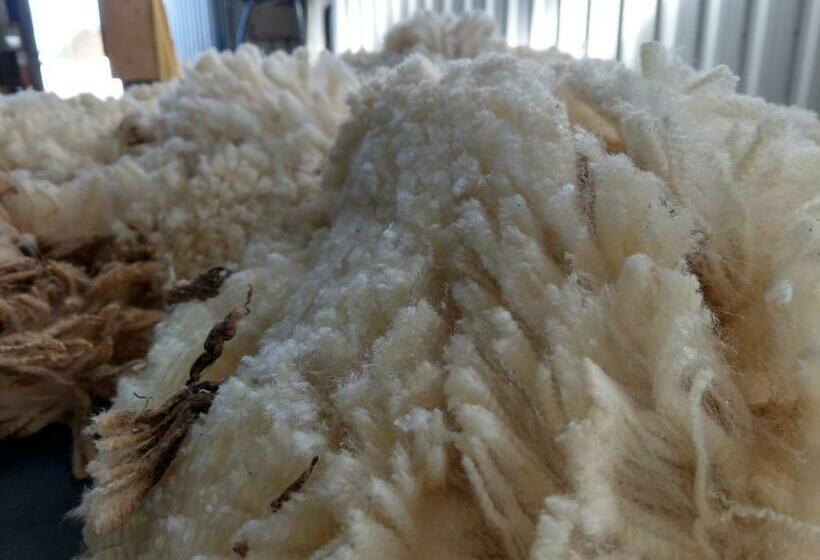 חדר משפחתי דלוקס, Cradle At Casa Blanca Country Retreat