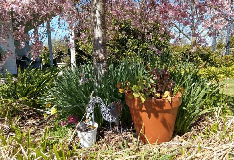 غرفة ديلوكس عائلية, Cradle At Casa Blanca Country Retreat