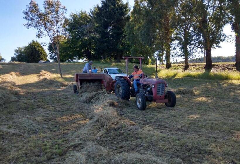 غرفة ديلوكس عائلية, Cradle At Casa Blanca Country Retreat