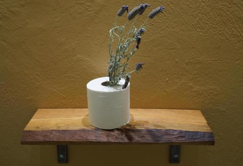 غرفة ديلوكس مطلة على حمام السباحة, Stellar Overberg Travellers Lodge