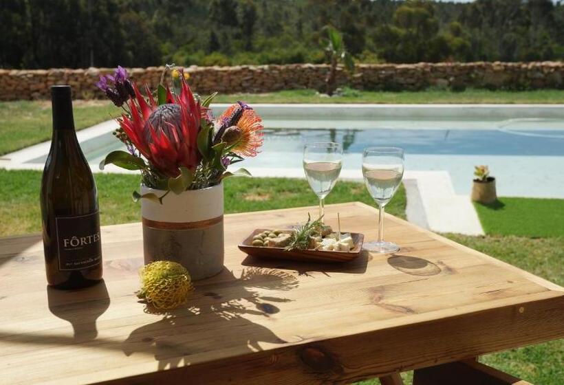 غرفة ديلوكس مطلة على حمام السباحة, Stellar Overberg Travellers Lodge