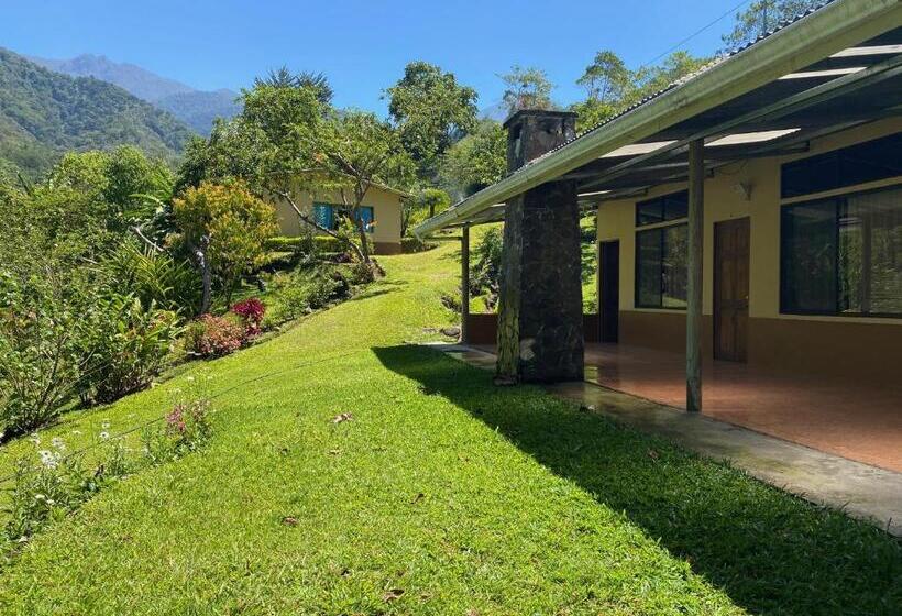 スタンダードスタジオ, Uran