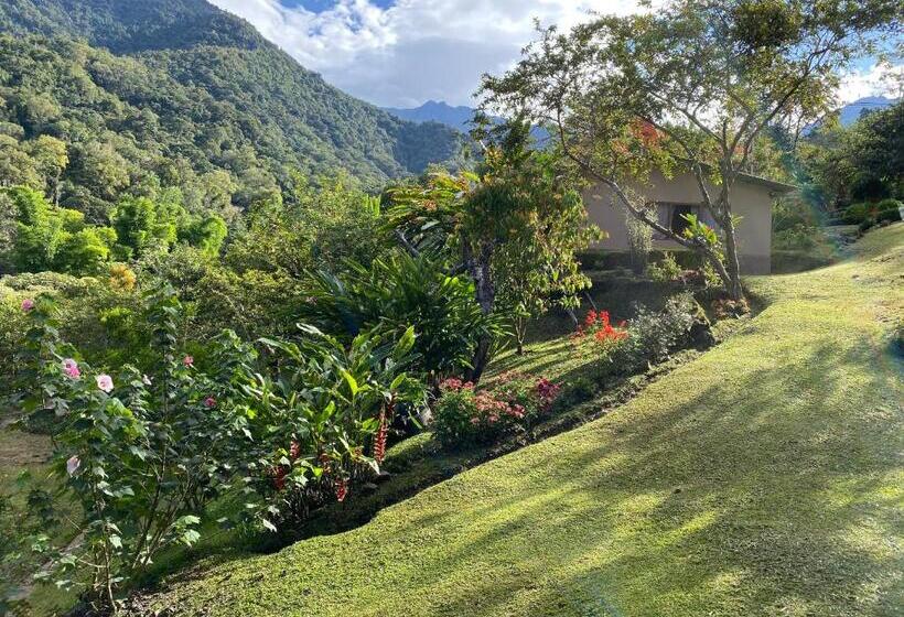 スタンダードスタジオ, Uran