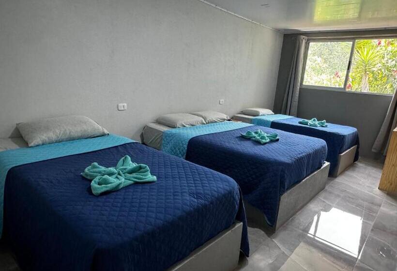 スタンダードトリプルルーム, Uran