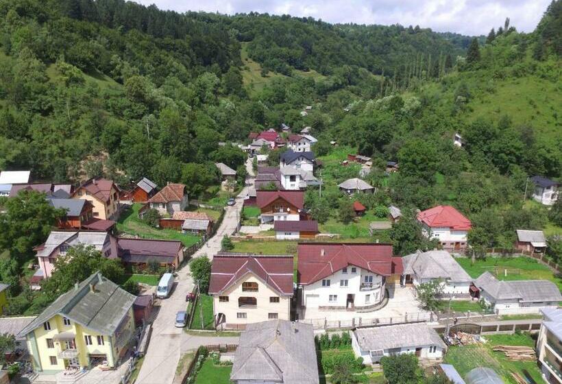 Номер Стандарт Трехместный, Casa Ivascu Moisei