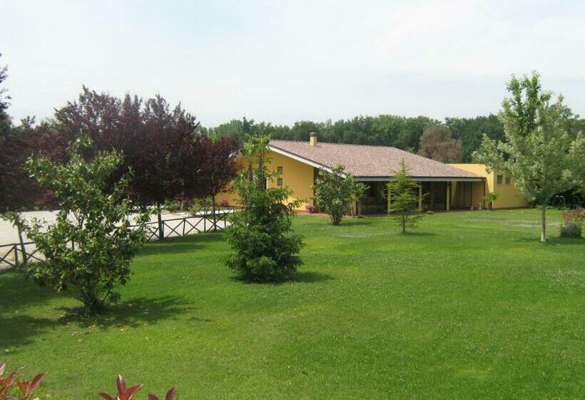 Номер Стандарт, B & B Oasi