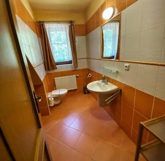 デラックスの４人部屋, Horský Hotel Sněženka
