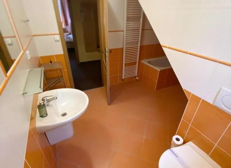 デラックスの４人部屋, Horský Hotel Sněženka