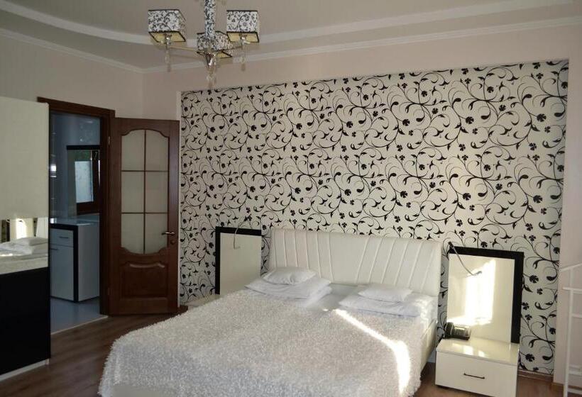 إستديو قياسى مزود بشرفة, Aquarius