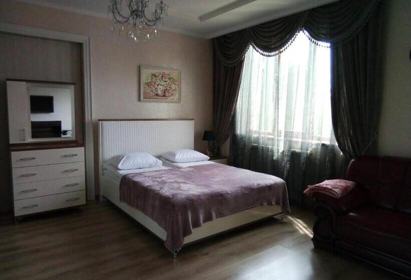 إستديو قياسى مزود بشرفة, Aquarius