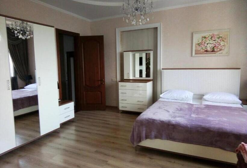 إستديو قياسى مزود بشرفة, Aquarius