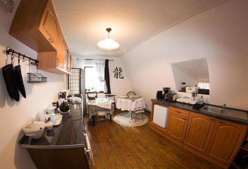 חדר דופלקס, Dům V Centru