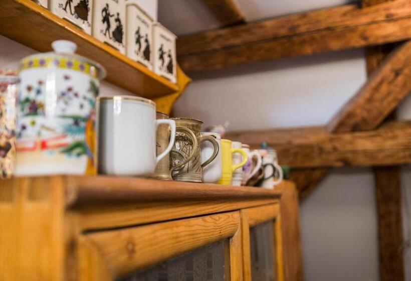 חדר סטנדרט לארבעה, Dům V Centru