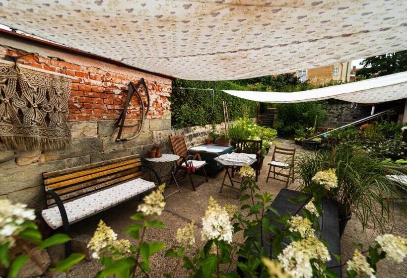 סוויטה, Dům V Centru