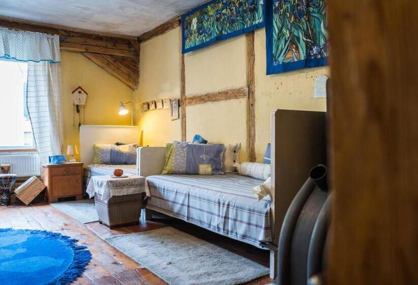 חדר סטנדרט לארבעה, Dům V Centru