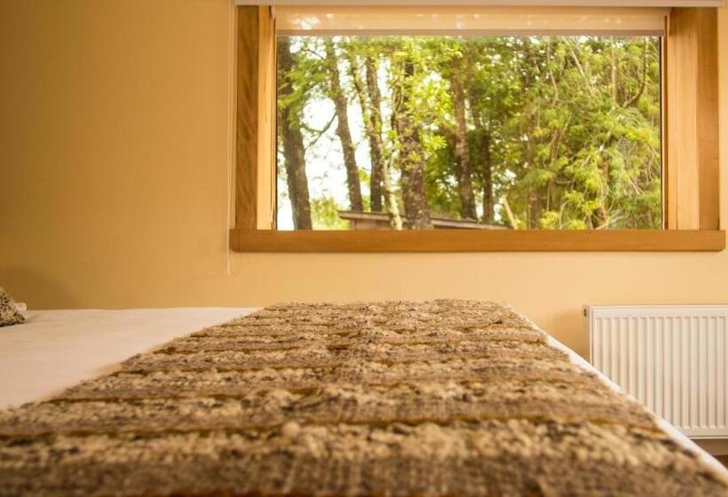 Номер Стандарт Вид на Сад, Hostal Casa Bosque