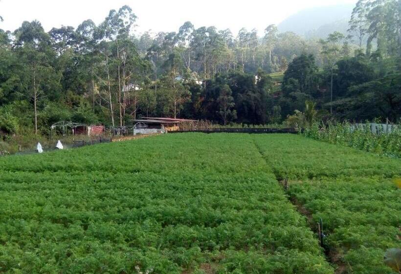 غرفة قياسية, Vegetable Garden House