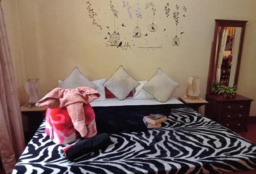 غرفة قياسية, Vegetable Garden House