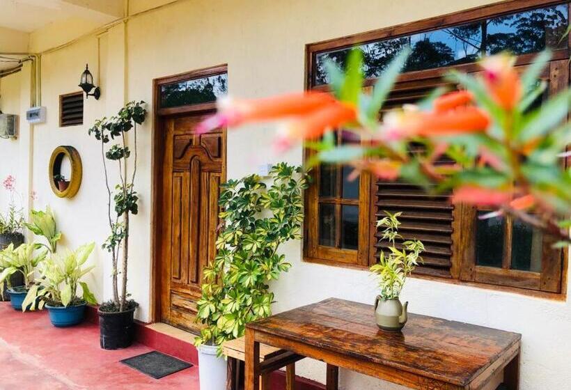 غرفة عائلية, Vegetable Garden House