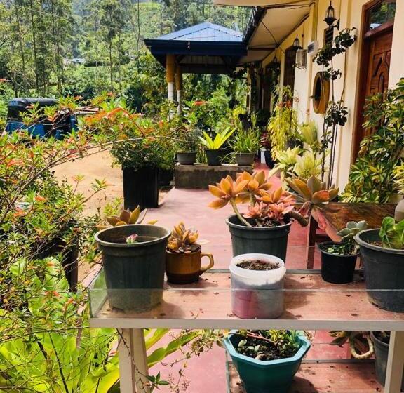 غرفة عائلية, Vegetable Garden House