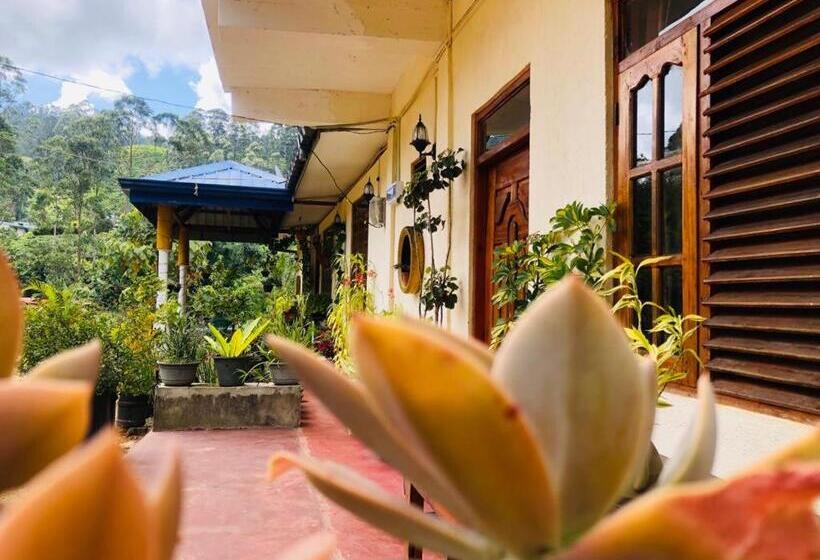 غرفة عائلية, Vegetable Garden House