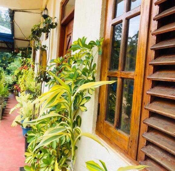 غرفة عائلية, Vegetable Garden House