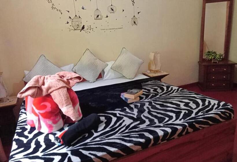 غرفة قياسية, Vegetable Garden House