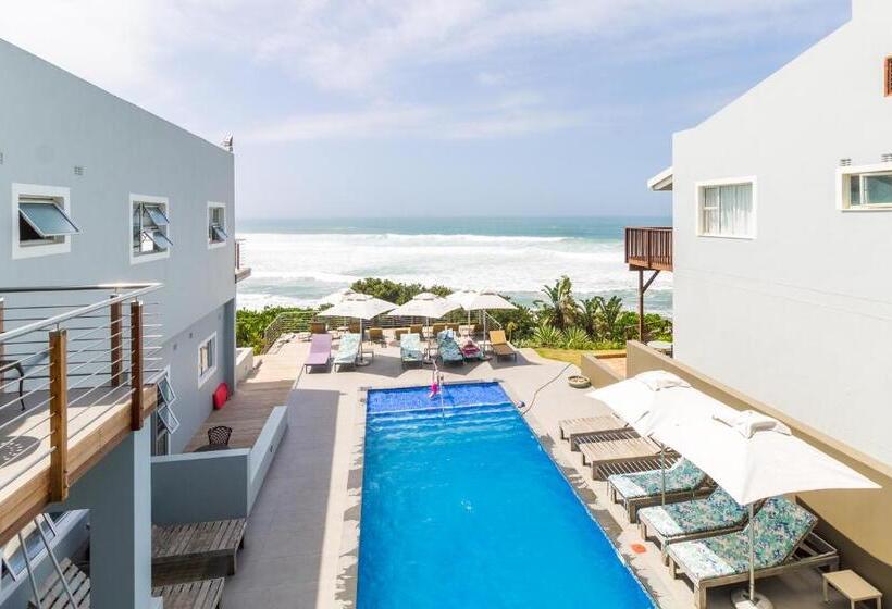 جناح سرير كينج, Morgan Bay