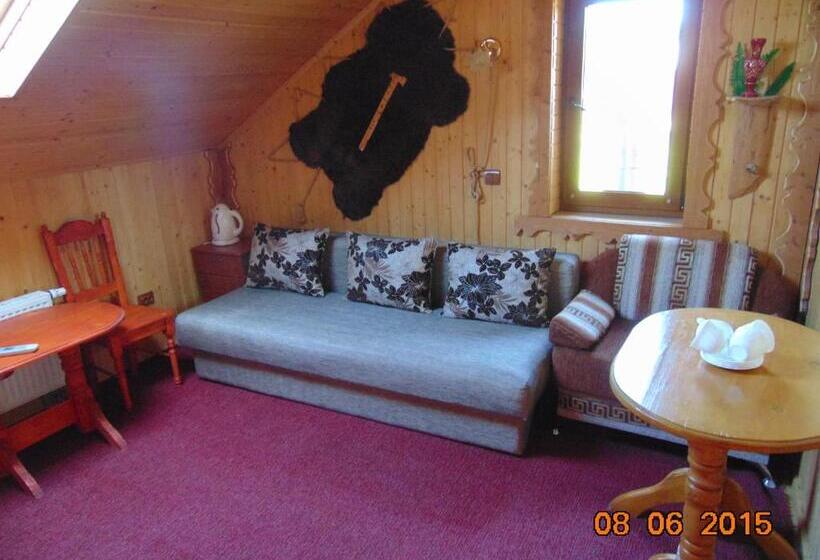 جناح جونيور, Panorama Karpat