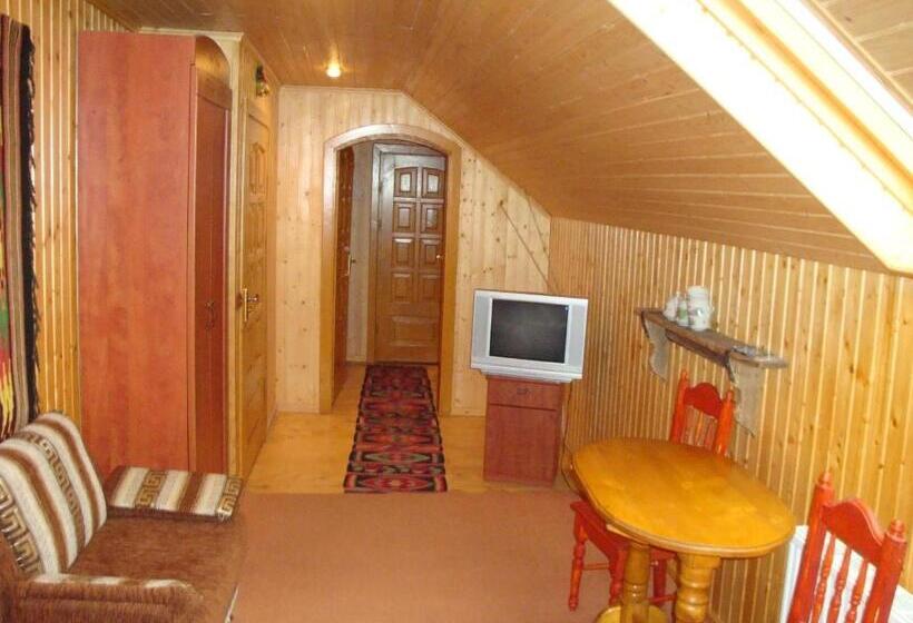 جناح جونيور, Panorama Karpat