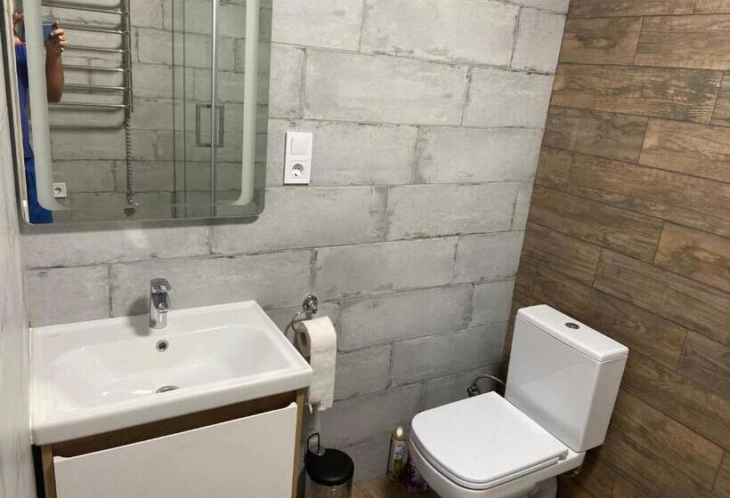 شاليه غرفة نوم واحدة, Panorama Karpat