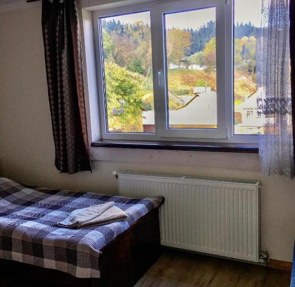 חדר סטנדרט, Shum Cheremosha