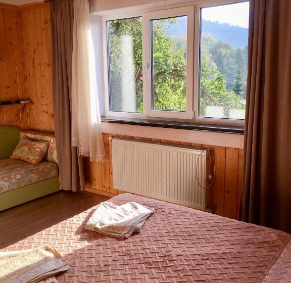 חדר סטנדרט, Shum Cheremosha