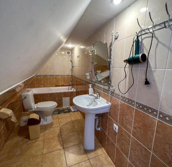 חדר סטנדרט עם מרפסת, Shum Cheremosha