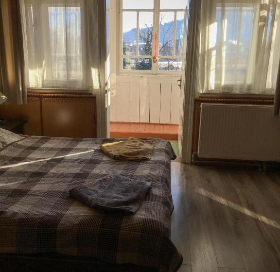 חדר סטנדרט עם מרפסת, Shum Cheremosha