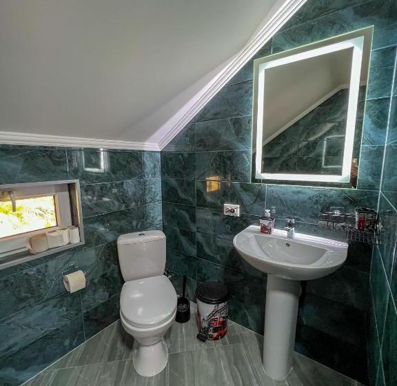 חדר סטנדרט חדר אמבטיה משותף, Shum Cheremosha