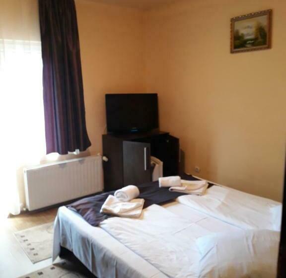 标准间带阳台, Pensiunea Alpin