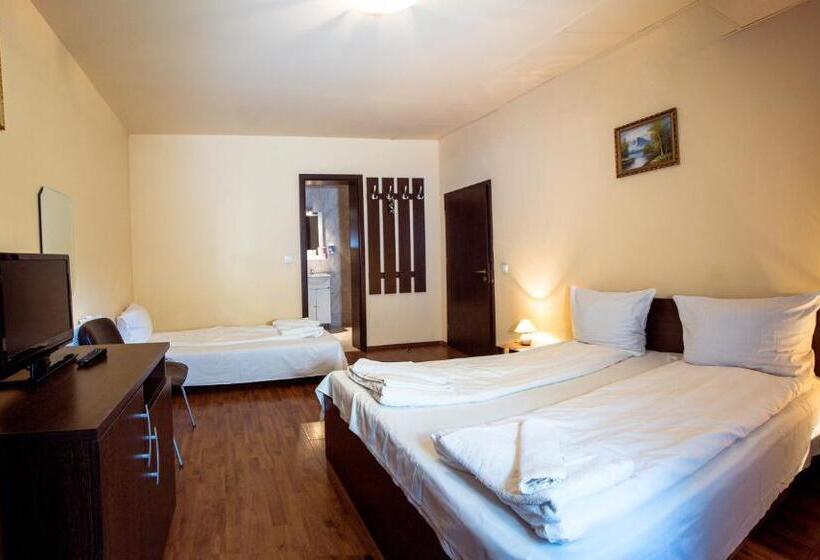 小型套房带阳台, Pensiunea Alpin