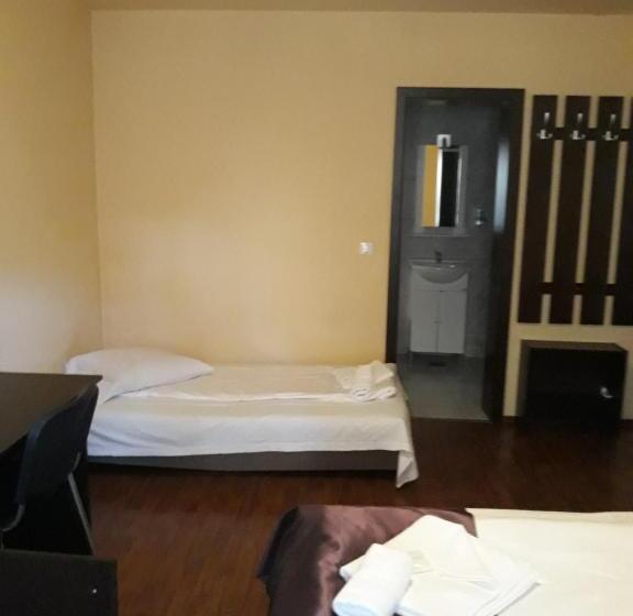 小型套房带阳台, Pensiunea Alpin