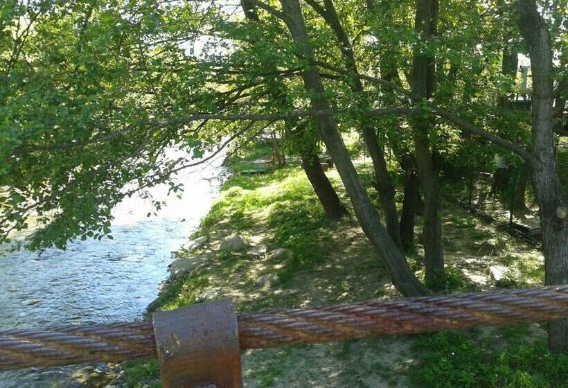 غرفة قياسية, Nopti De Vara Transfăgărășan