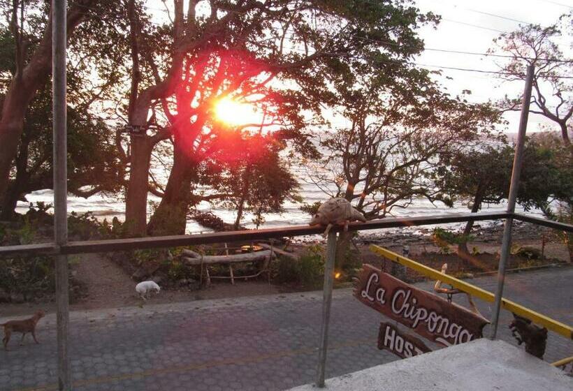 شقة غرفة واحدة مطلة على الحديقة, Hostal Eco Lodge La Chiponga