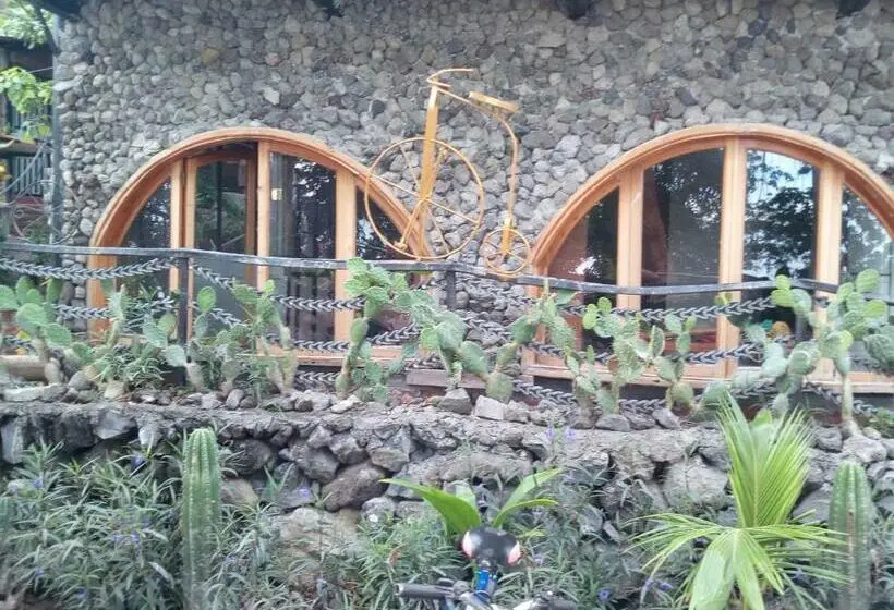 庭の見える１ベッドルームアパートメント, Hostal Eco Lodge La Chiponga
