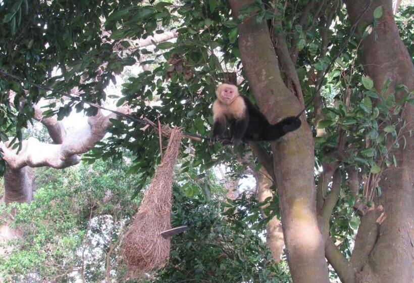 شقة غرفة واحدة مطلة على الحديقة, Hostal Eco Lodge La Chiponga