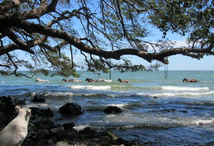 شقة غرفة واحدة مطلة على الحديقة, Hostal Eco Lodge La Chiponga