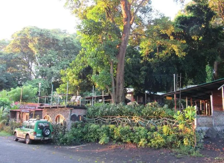 庭の見える１ベッドルームアパートメント, Hostal Eco Lodge La Chiponga